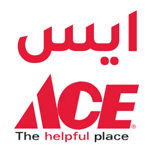 ace-logo-WEBP