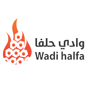 Wadi-Half-LOGO-PNG